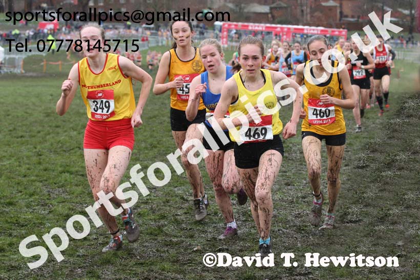 Senior girls 2019 New Balance English Schools Cross Country Champs, Temple Newsam, Leeds. Photo:  David T. Hewitson/Sports for All Pics